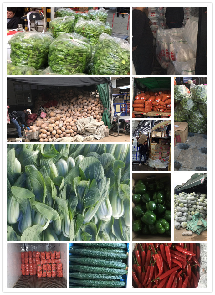 首页-PA真人集团有限公司官网