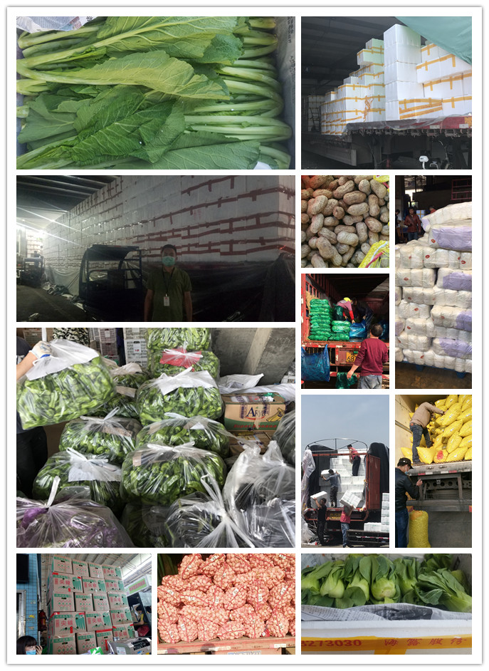 首页-PA真人集团有限公司官网