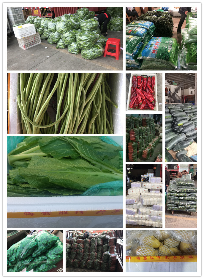 首页-PA真人集团有限公司官网