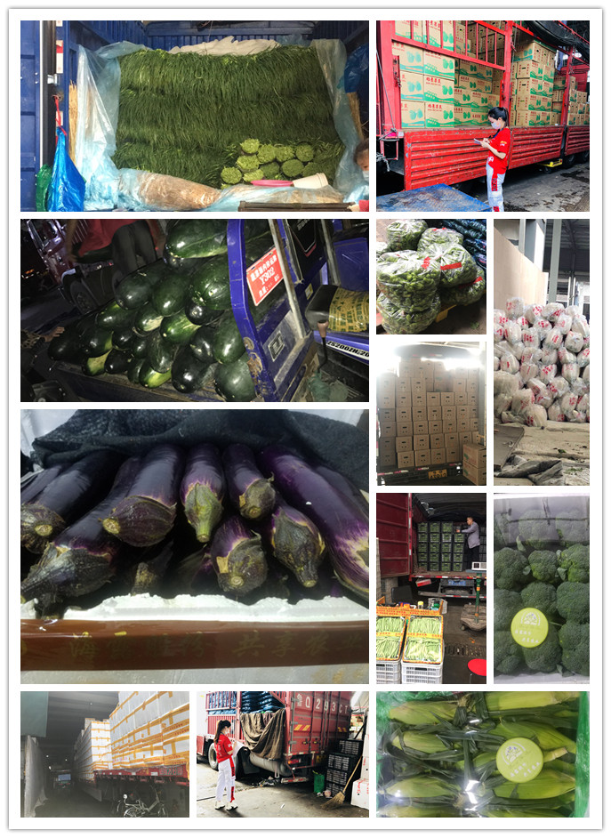 首页-PA真人集团有限公司官网