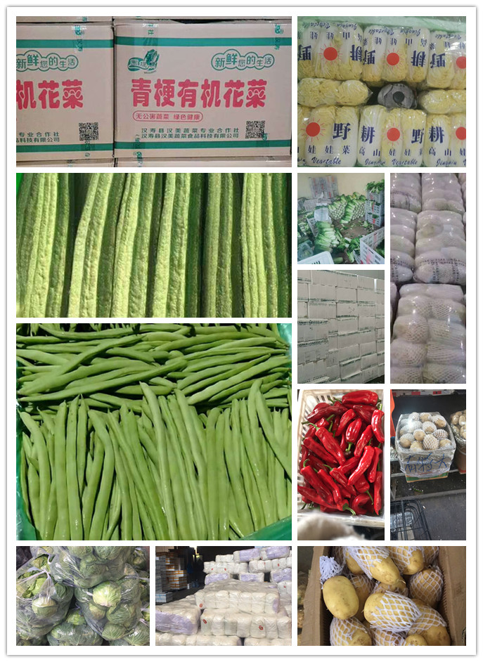 首页-PA真人集团有限公司官网