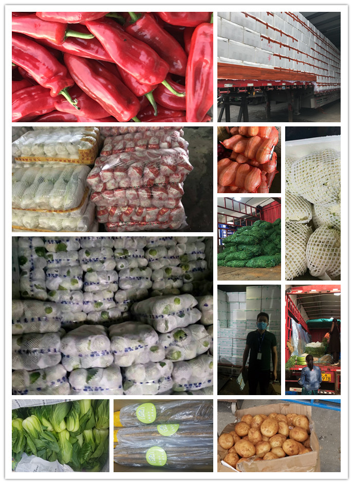 首页-PA真人集团有限公司官网