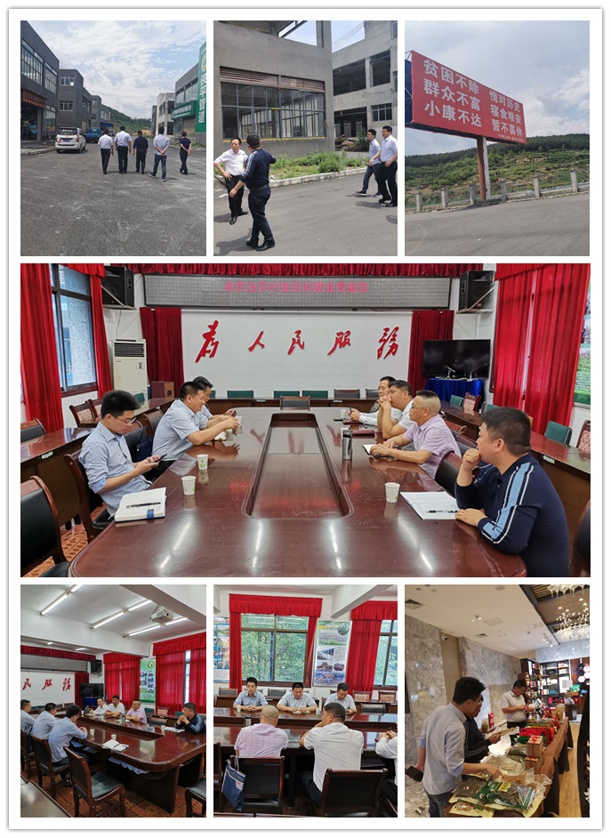 首页-PA真人集团有限公司官网