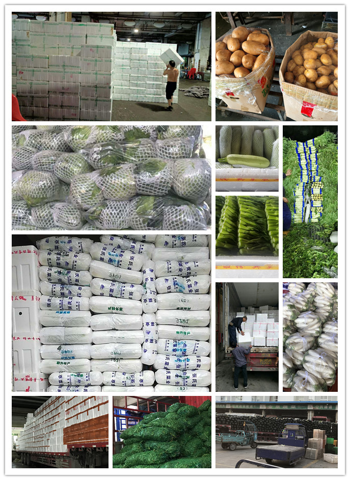 首页-PA真人集团有限公司官网