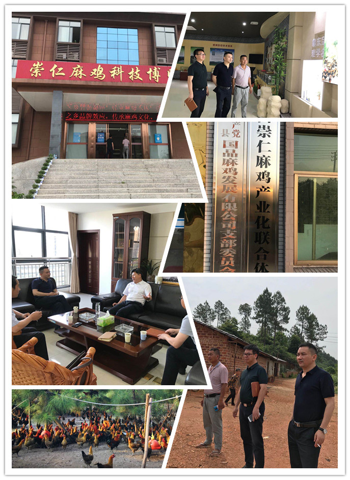 首页-PA真人集团有限公司官网