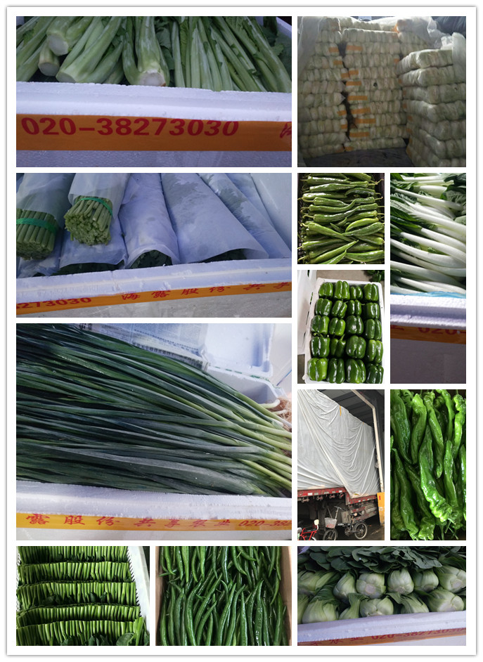 首页-PA真人集团有限公司官网