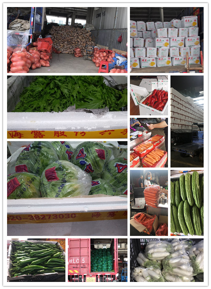 首页-PA真人集团有限公司官网