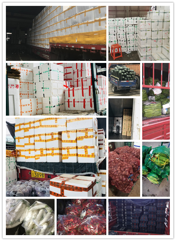 首页-PA真人集团有限公司官网