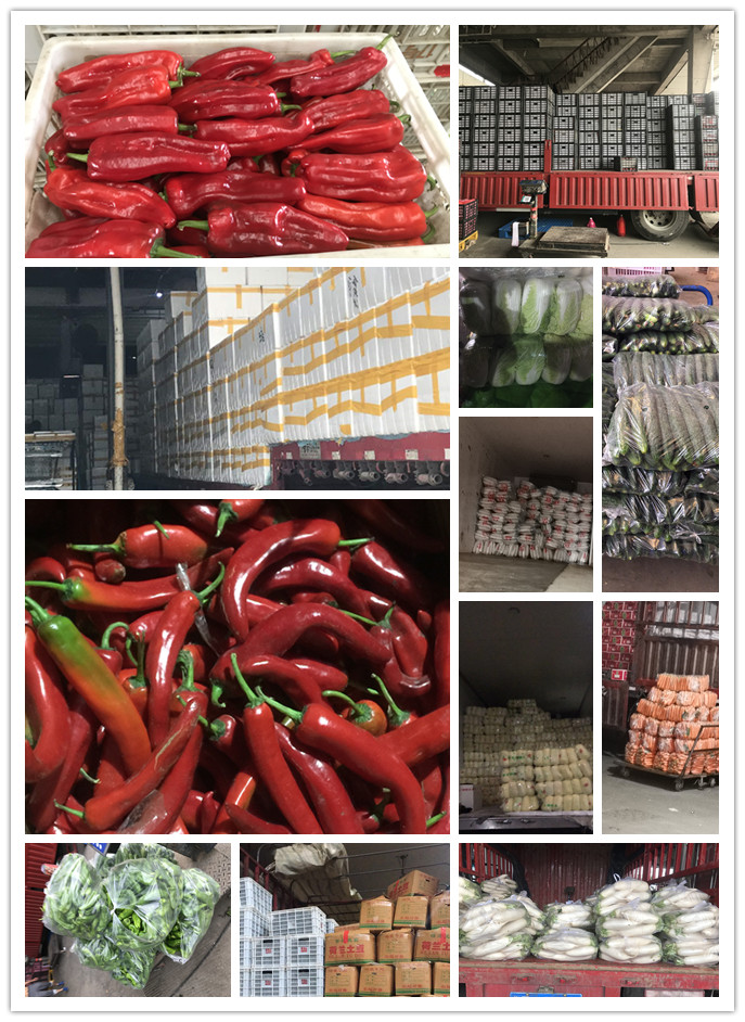 首页-PA真人集团有限公司官网