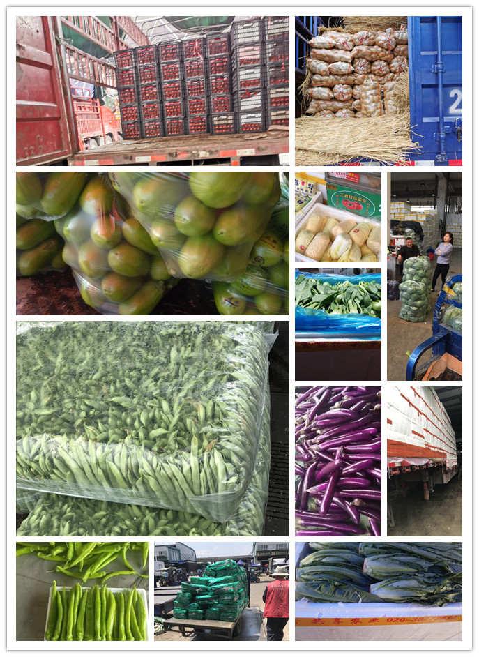 首页-PA真人集团有限公司官网