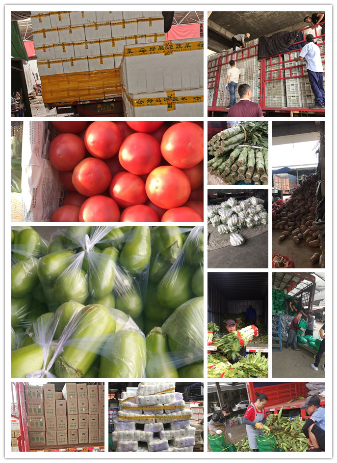 首页-PA真人集团有限公司官网