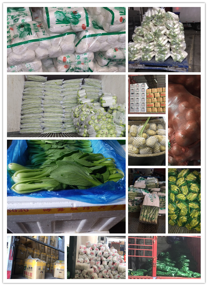 首页-PA真人集团有限公司官网