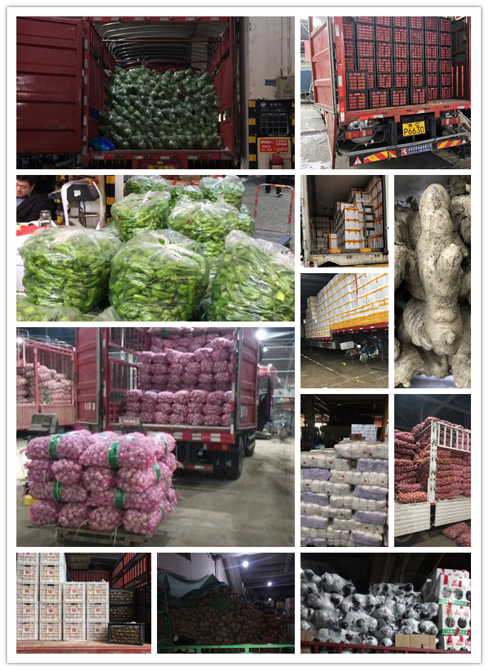 首页-PA真人集团有限公司官网