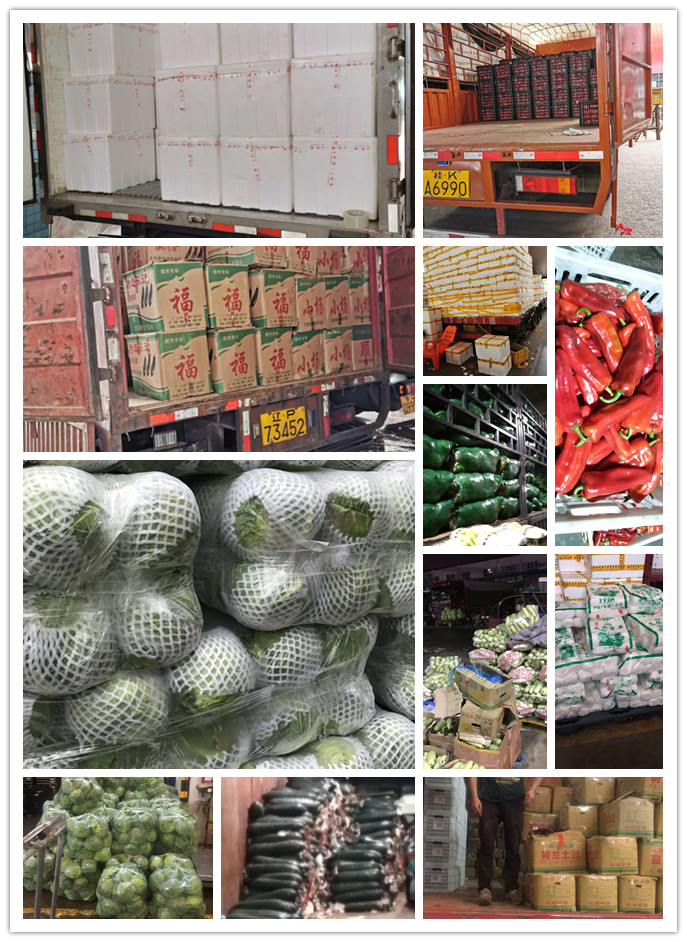 首页-PA真人集团有限公司官网