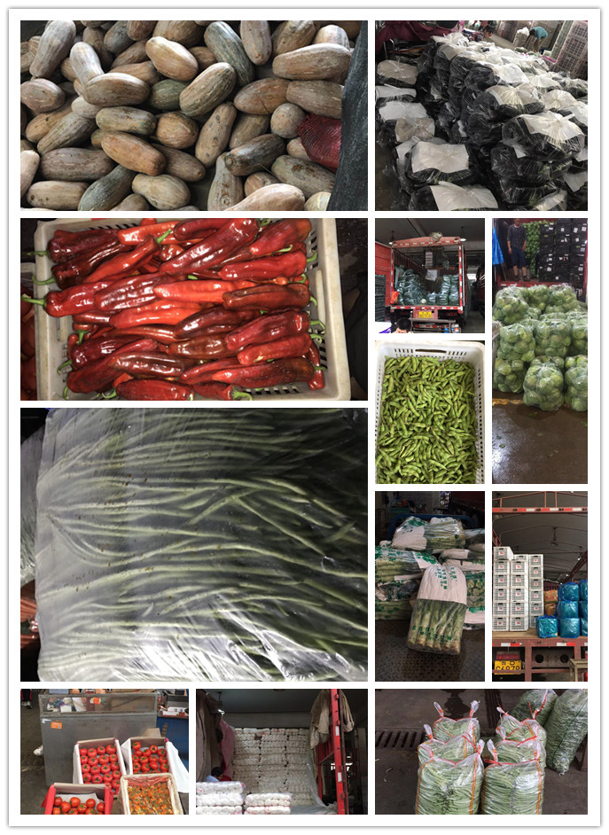 首页-PA真人集团有限公司官网