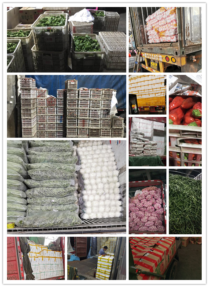 首页-PA真人集团有限公司官网