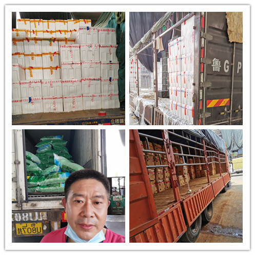 首页-PA真人集团有限公司官网