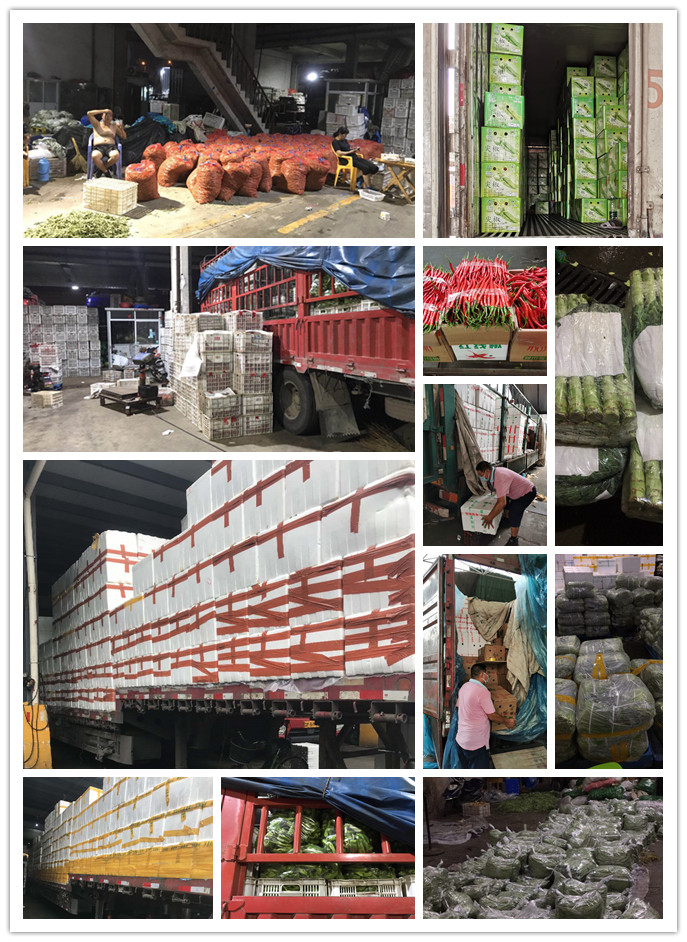 首页-PA真人集团有限公司官网