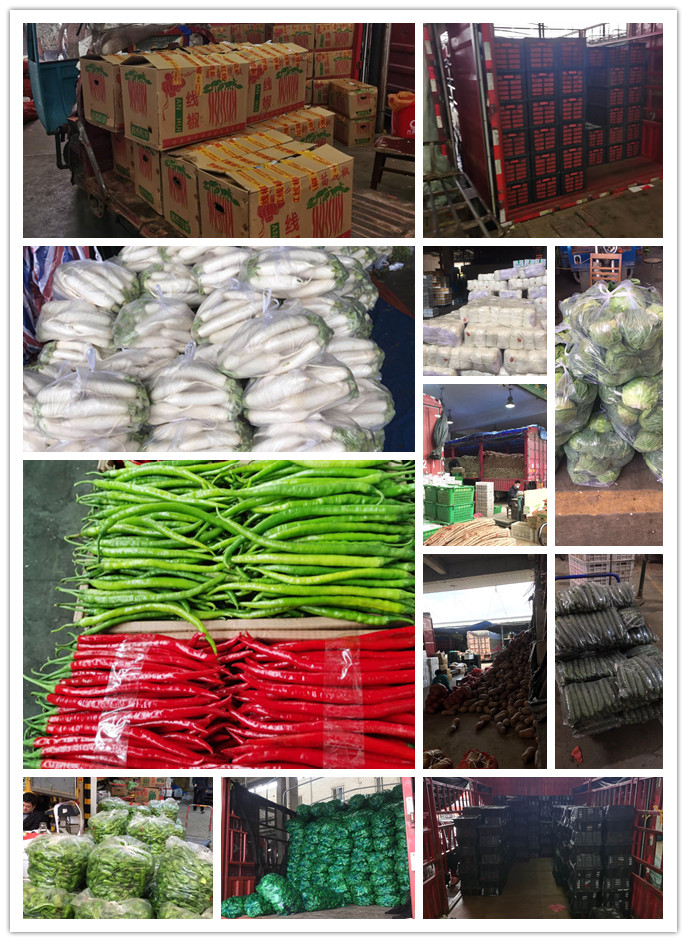 首页-PA真人集团有限公司官网