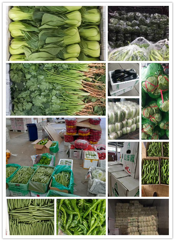 首页-PA真人集团有限公司官网