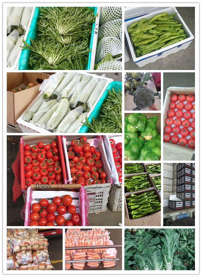 首页-PA真人集团有限公司官网