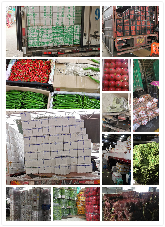 首页-PA真人集团有限公司官网