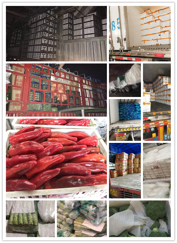 首页-PA真人集团有限公司官网