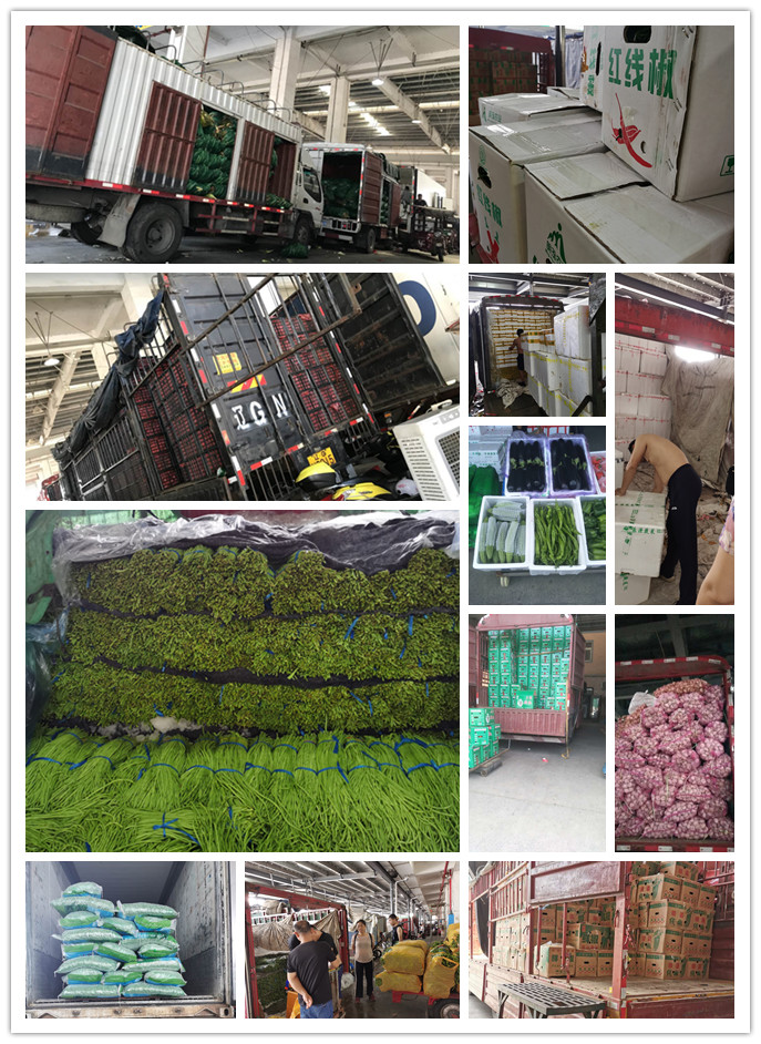 首页-PA真人集团有限公司官网