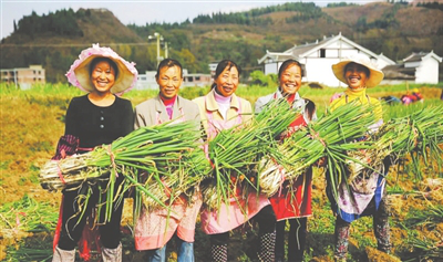 首页-PA真人集团有限公司官网
