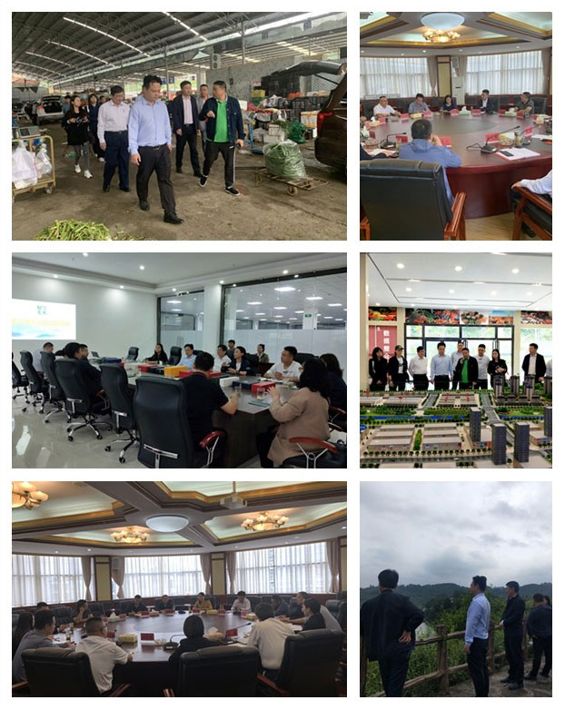 首页-PA真人集团有限公司官网