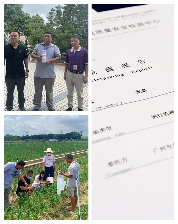 首页-PA真人集团有限公司官网