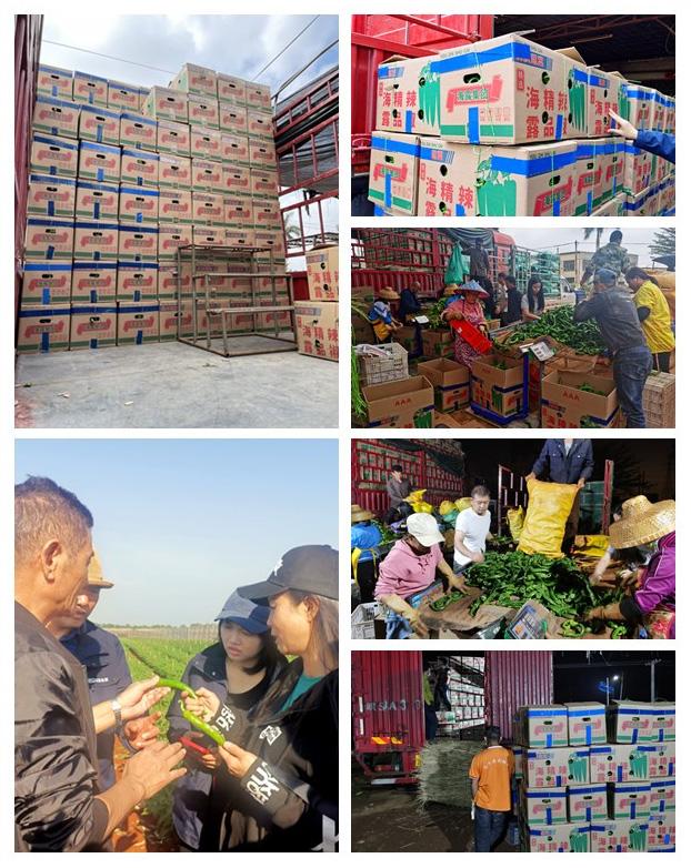 首页-PA真人集团有限公司官网