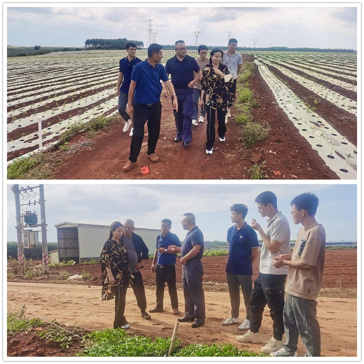 首页-PA真人集团有限公司官网