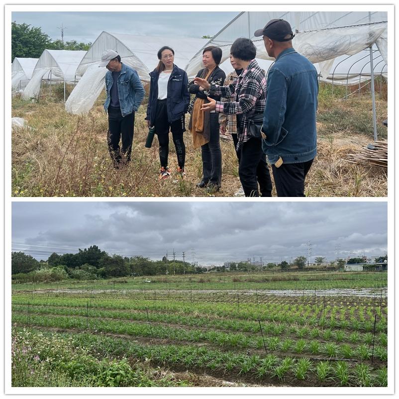 首页-PA真人集团有限公司官网