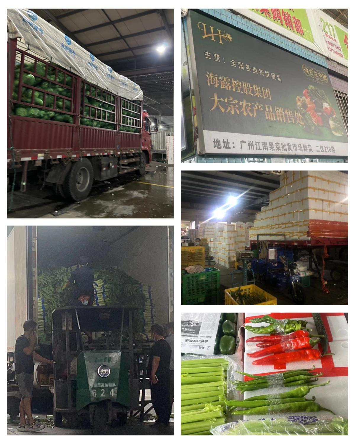 首页-PA真人集团有限公司官网