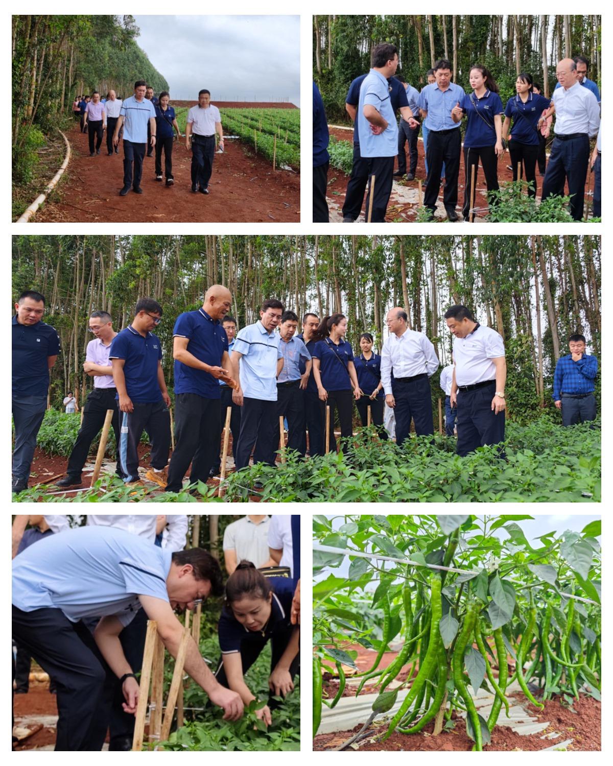 首页-PA真人集团有限公司官网