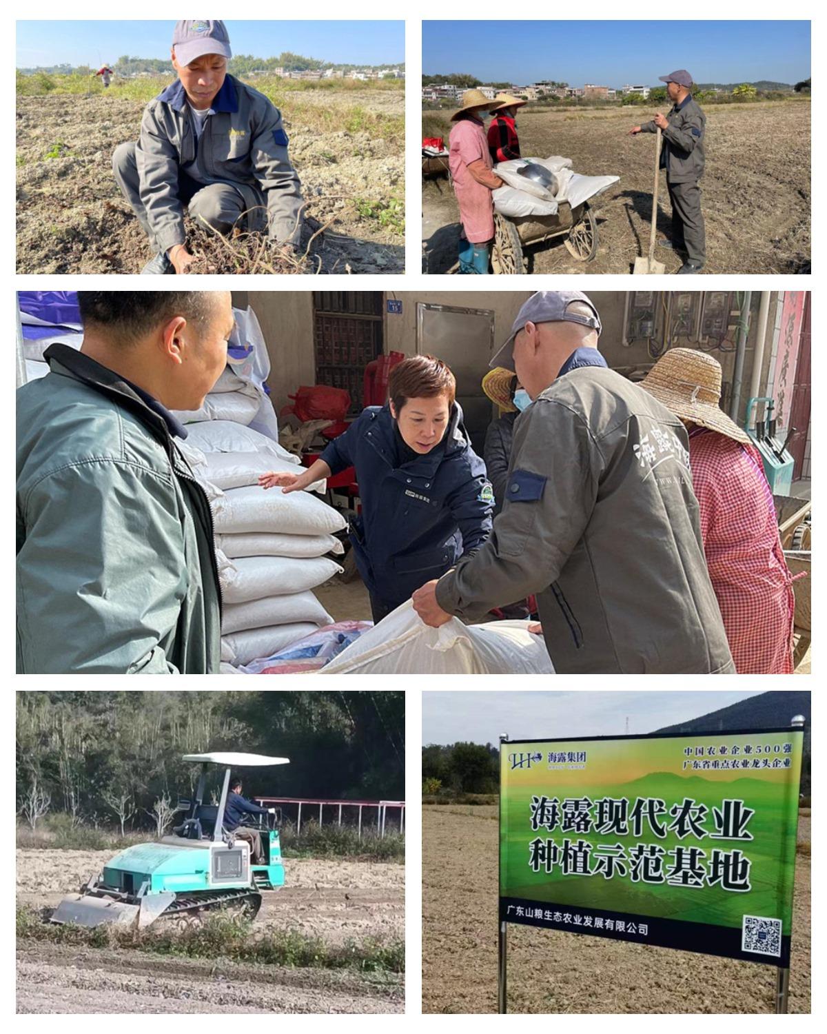 首页-PA真人集团有限公司官网