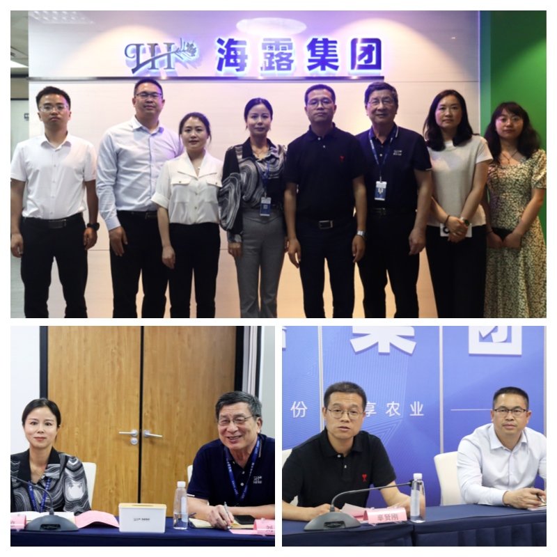 首页-PA真人集团有限公司官网