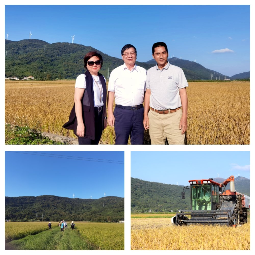 首页-PA真人集团有限公司官网