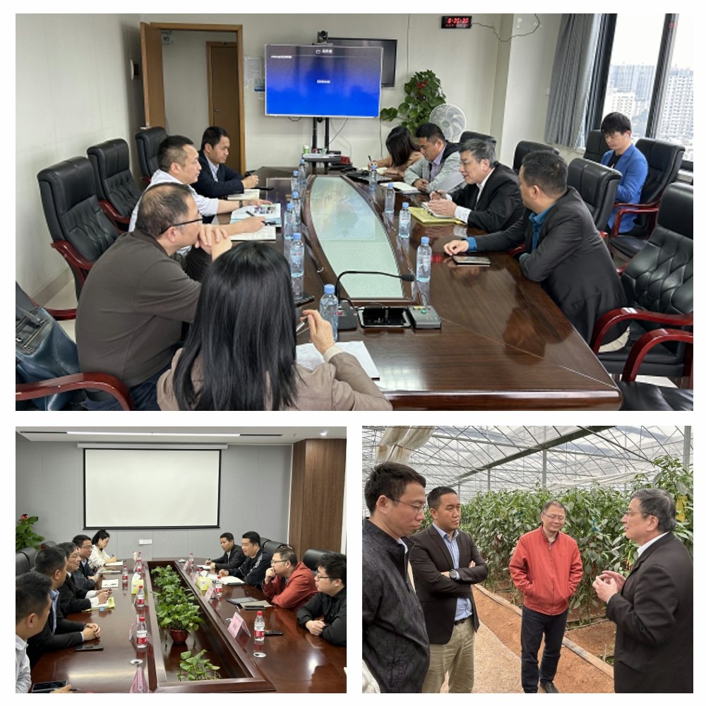 首页-PA真人集团有限公司官网