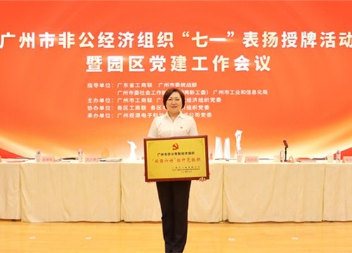 标杆引领，荣誉升级！集团党支部荣膺广州市非公有造经济组织“双强六好”标
