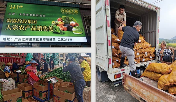 首页-PA真人集团有限公司官网