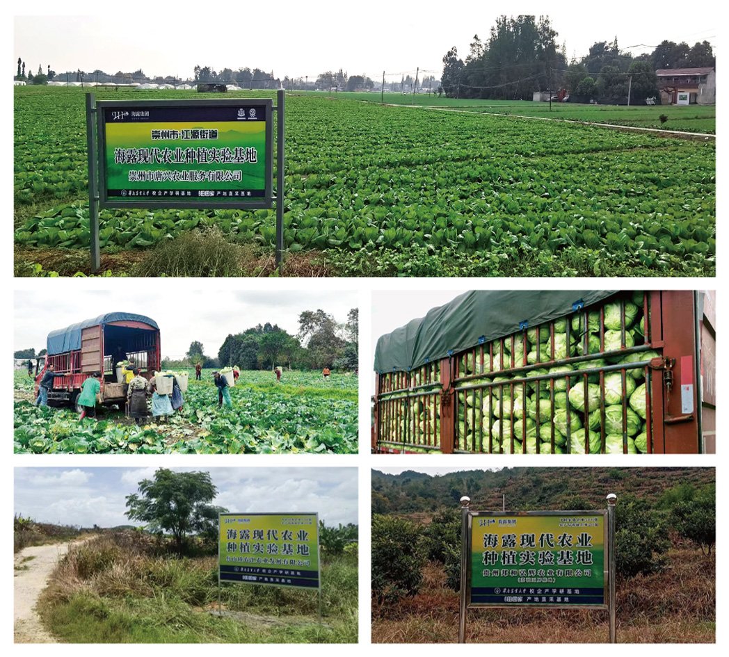 首页-PA真人集团有限公司官网