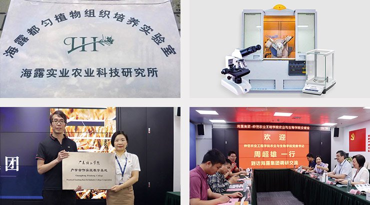 首页-PA真人集团有限公司官网