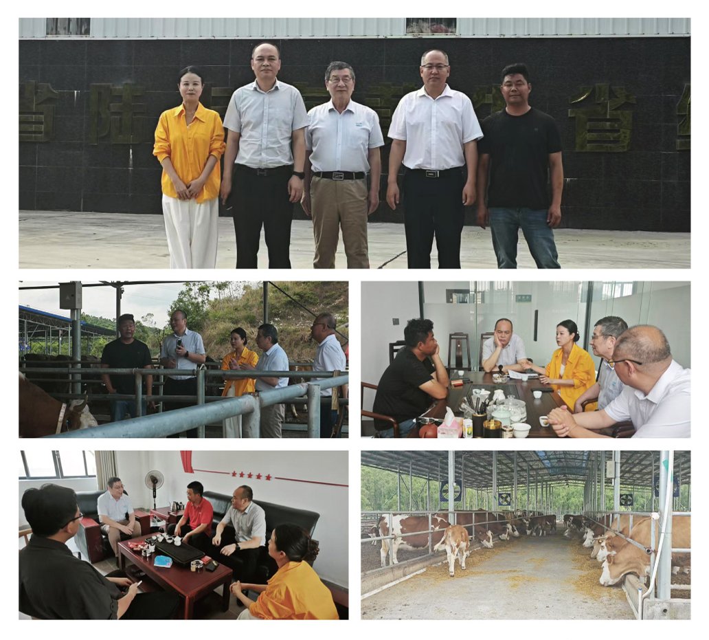 首页-PA真人集团有限公司官网