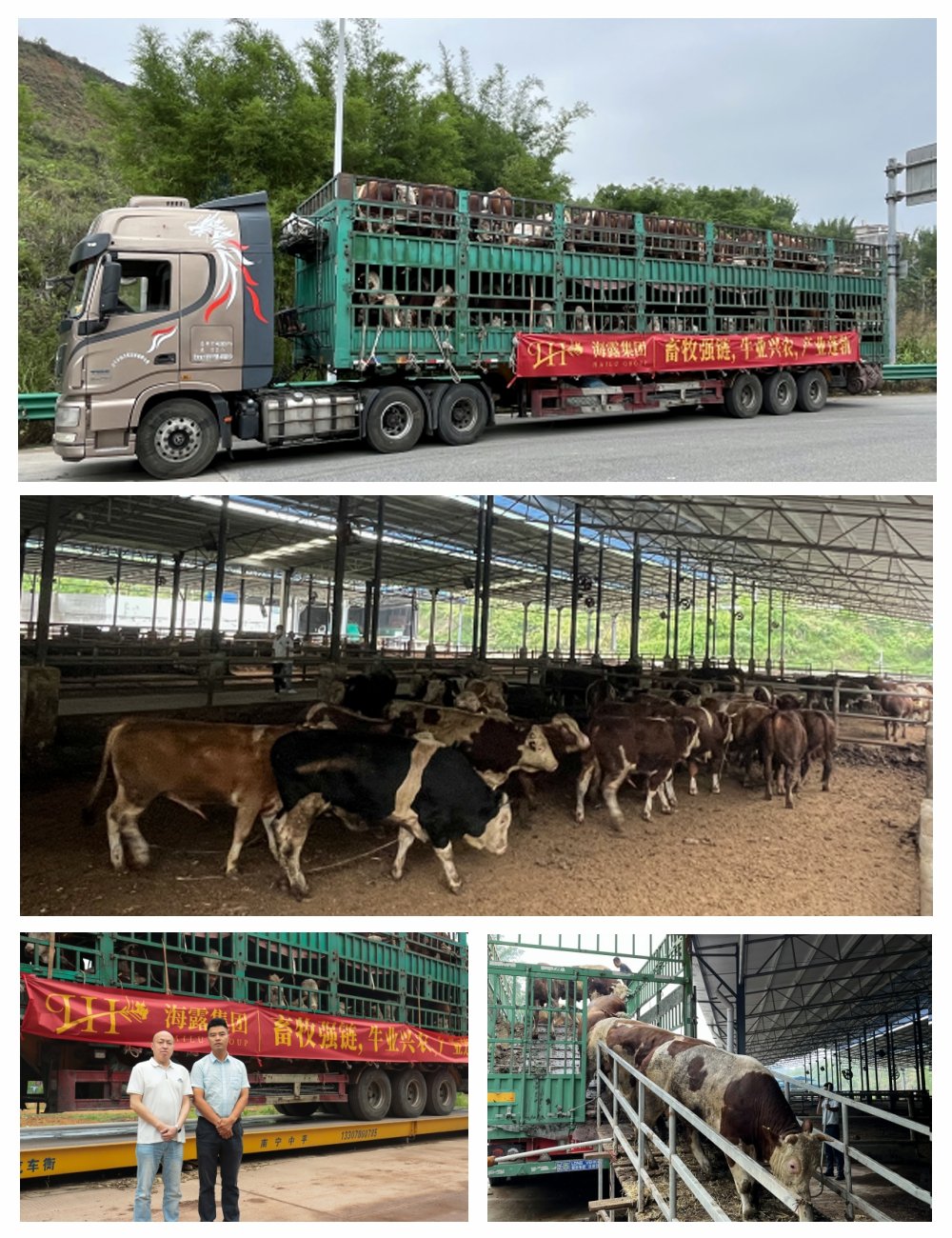 首页-PA真人集团有限公司官网