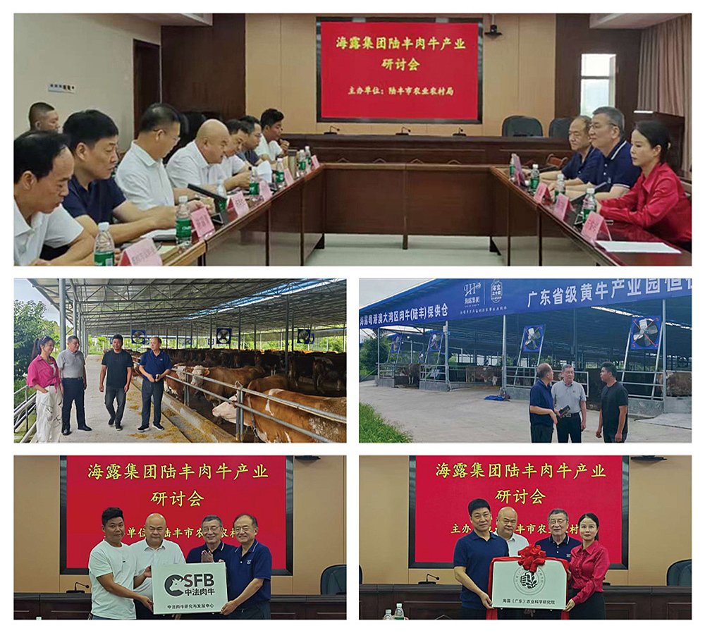 首页-PA真人集团有限公司官网