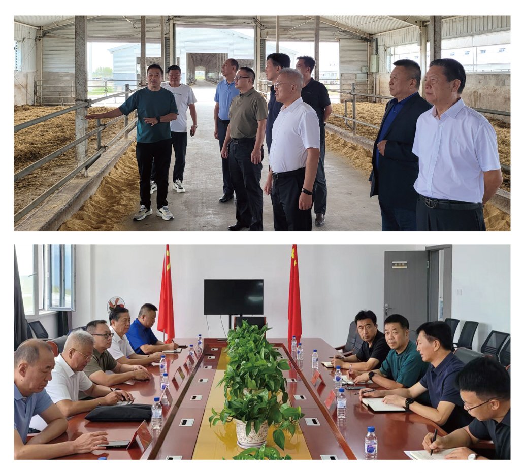 首页-PA真人集团有限公司官网