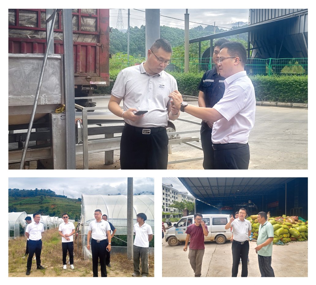 首页-PA真人集团有限公司官网