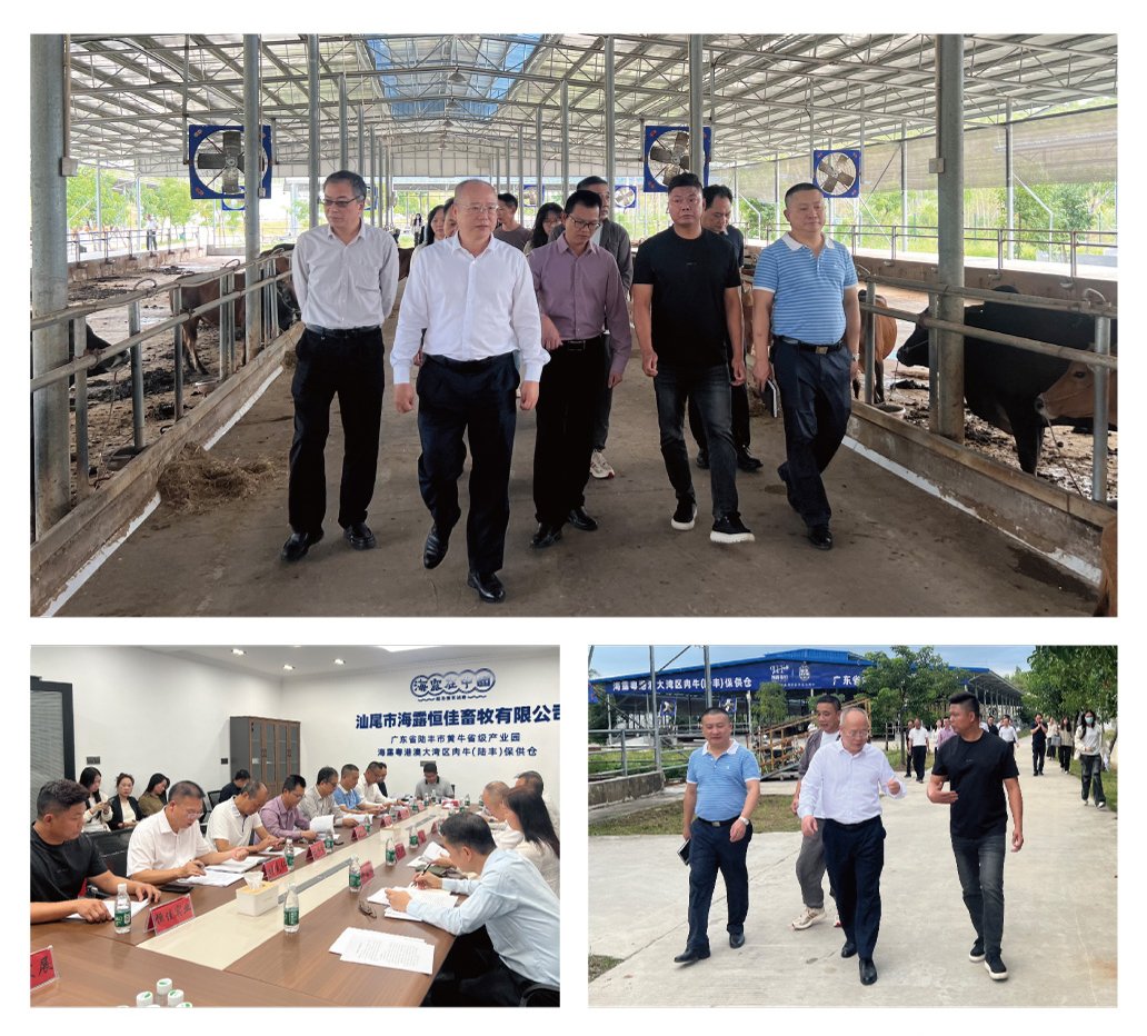 首页-PA真人集团有限公司官网